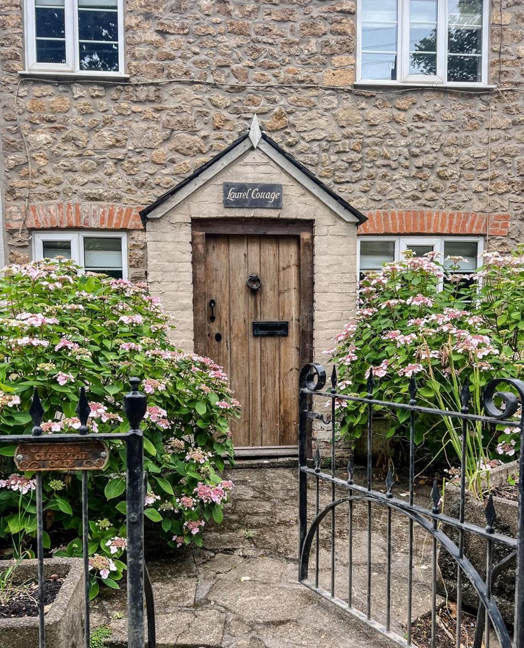 Laurel Cottage Melplash Netherbury Buitenkant foto